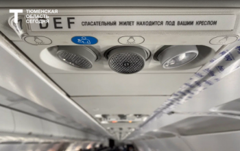 Телефон загорелся в самолете, летевшем из Сургута в Краснодар