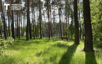 В Тюмени 6 августа ожидается до +22°C и без осадков