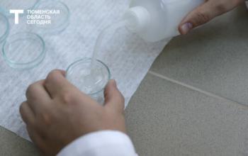 В Тюмени достаточный запас реагентов для очистки воды из Туры
