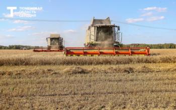 В Тюменской области собрали более 50% урожая