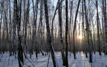 Фото Елены Рочевой