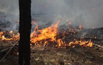 Тюменские десантники помогают тушить лесные пожары в Свердловской области