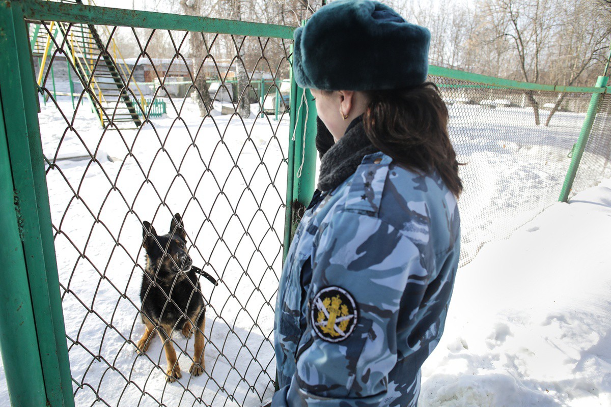 Не слабый пол: девушка-кинолог УФСИН рассказала о своей работе | 05.03.2022  | Тюмень - БезФормата