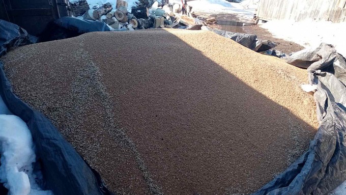 В Тюменской области работники зерносклада выкрали четыре тонны пшеницы