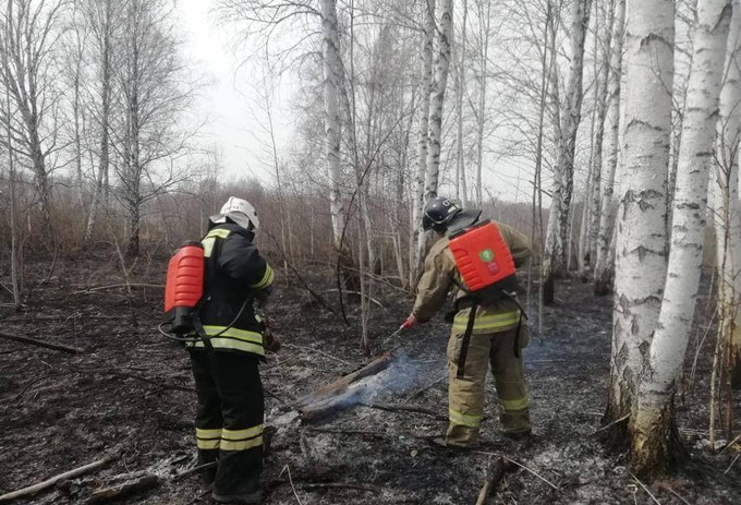 На территории Тюменской области действует пять лесных пожаров