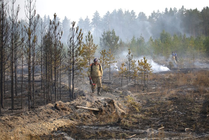 Тюменские леса горят в шести местах