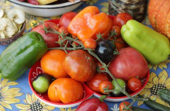Новость Тюмени: Какие овощи самые полезные