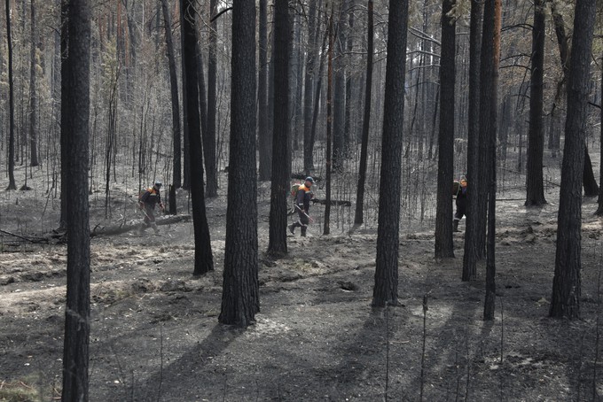 Природные пожары нанесли ущерб Тюменской области на 30 млн рублей