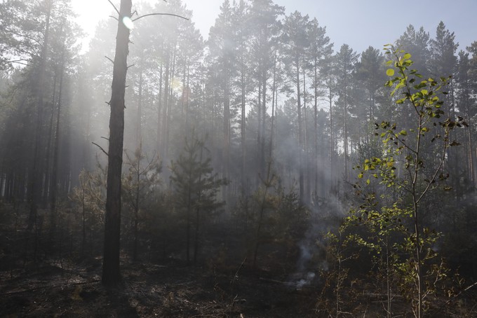 Один лесной пожар продолжает действовать в Тюменской области