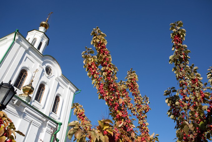 Фестиваль "Православие и СМИ" пройдет в Тобольске
