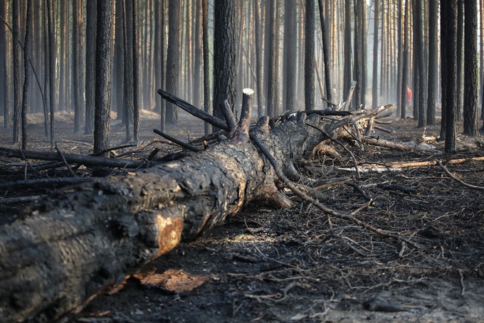 Ландшафтные пожары в Казанском районе ликвидированы