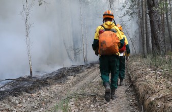 Новость Тюмени: Причиной 80% лесных пожаров в Тюменской области являются поджоги