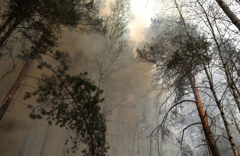 Новость Тюмени: Клин клином: встречный пал леса помог утихомирить пожар в Юргинском районе