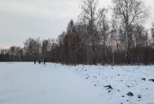 В Викуловском районе по следам нашли браконьера, убившего косуль в заказнике