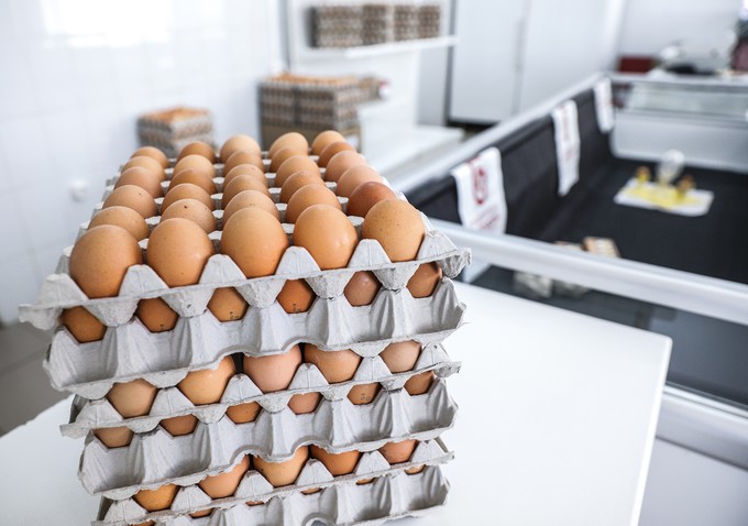 В июле тюменцы увидят на прилавках магазинов яйца с Боровской птицефабрики