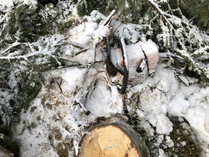 В Тюмени монтажника трубопровода обвиняют в смерти коллеги в лесу