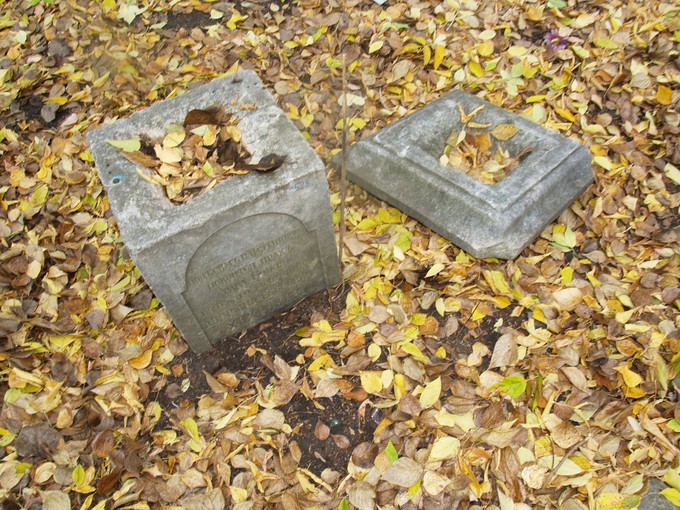 Волонтеры выяснили трагическую историю жизни вдовы с Текутьевского кладбища