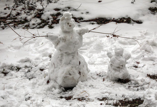 В Тюмени планируют поставить рекорд по лепке снеговиков