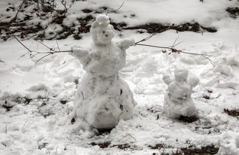 Новость Тюмени: В Тюмени планируют поставить рекорд по лепке снеговиков