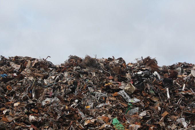 Тюменцы пожаловались на нелегальные мусорные свалки