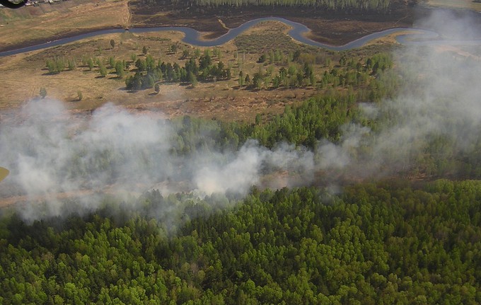В Уватском районе потушили пожар на 19 гектарах леса