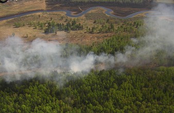 Новость Тюмени: В Уватском районе потушили пожар на 19 гектарах леса