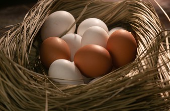 Новость Тюмени: Чем полезны куриные яйца