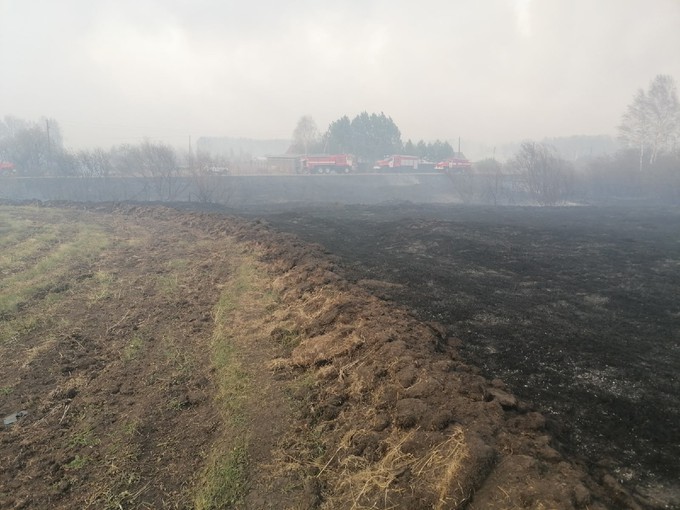 За неделю в четырех районах Тюменской области произошло 12 ландшафтных пожаров