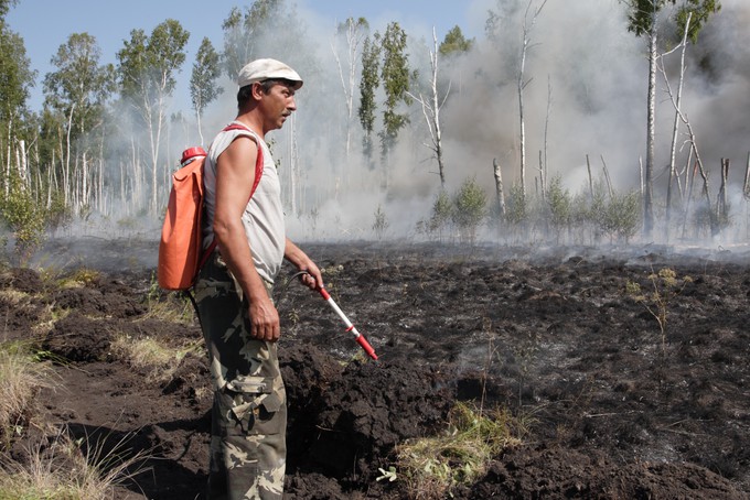 Пожароопасный сезон наступил в лесах Тюменской области