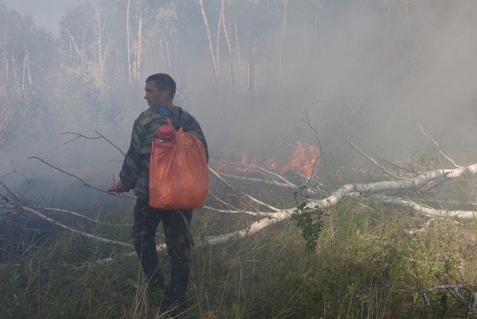 Ущерб от лесных пожаров оценили в 200 тысяч рублей