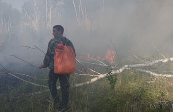 Новость Тюмени: Ущерб от лесных пожаров оценили в 200 тысяч рублей