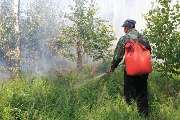На территории Тюменской области нет лесных пожаров