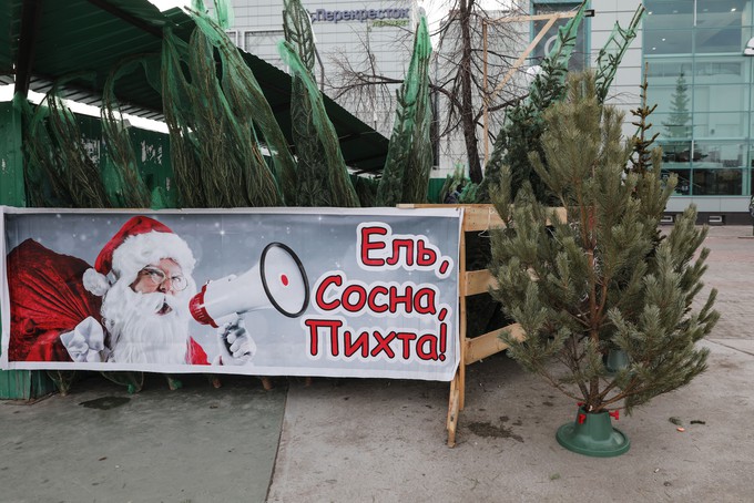 Экомобиль соберет новогодние елки в разных районах Тюмени и области
