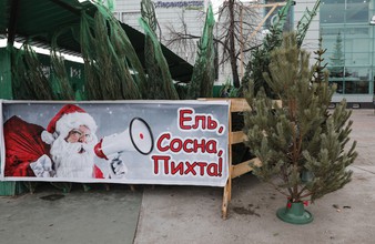 Новость Тюмени: Экомобиль соберет новогодние елки в разных районах Тюмени и области