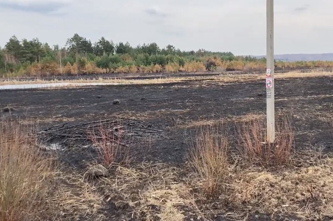 В Исетском районе сгорело 6 гектаров территорий