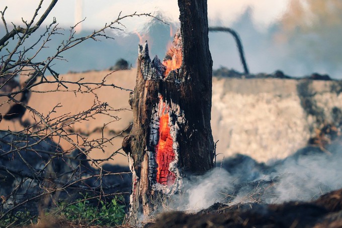 В Тюменской области с начала сезона произошло 228 природных пожаров