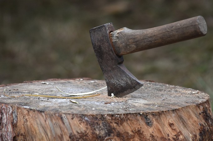 Тюменцам грозит штраф за рубку дерева во дворе у дома