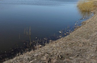 Новость Тюмени: Спустя сутки поисков из реки в Ялуторовском районе достали тело утонувшего мужчины