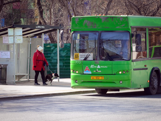 Тюменские дачные автобусы выйдут в рейсы только в апреле