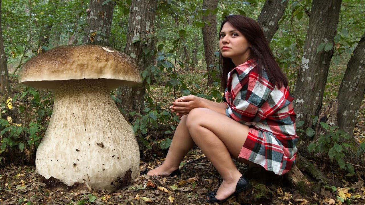 Фото с грибами девушка