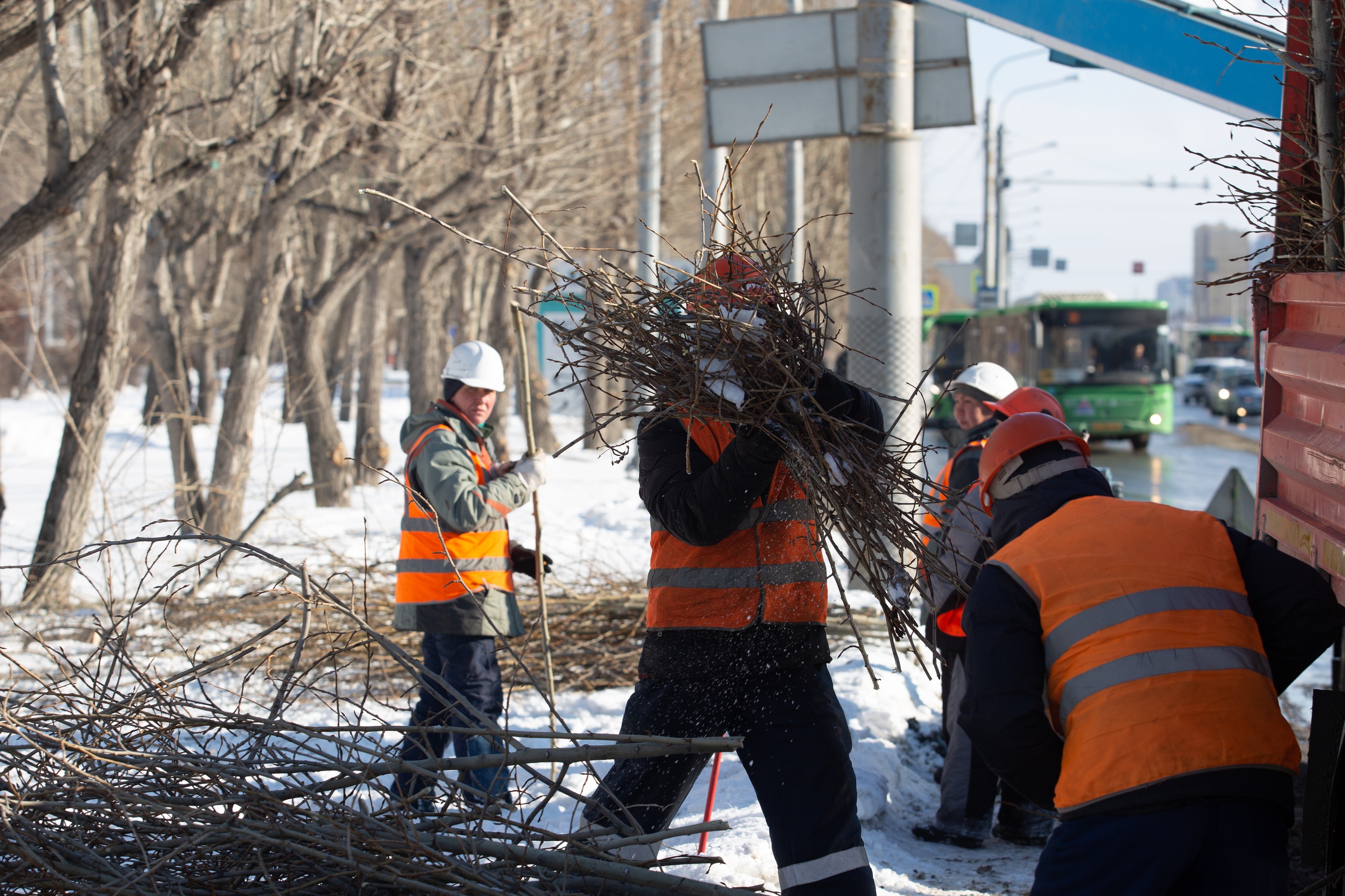 В Тюмени продолжается обрезка деревьев и кустарников | 05.03.2021 | Тюмень  - БезФормата