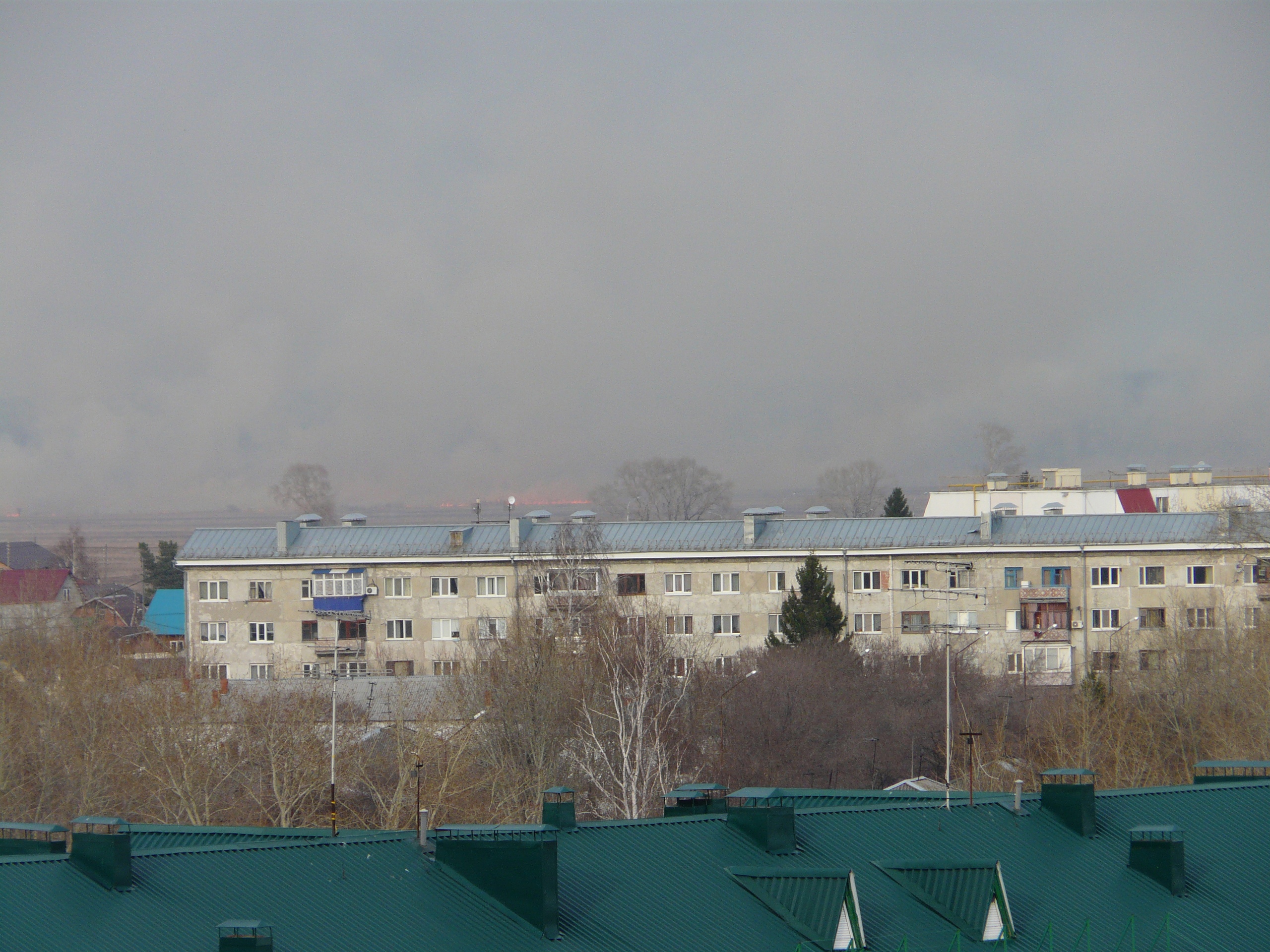 В Тюмени горит трава под окнами жителей Антипино | 17.04.2021 | Тюмень -  БезФормата